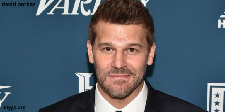 David Borhaz’s Key Contributions: What You Need to Know