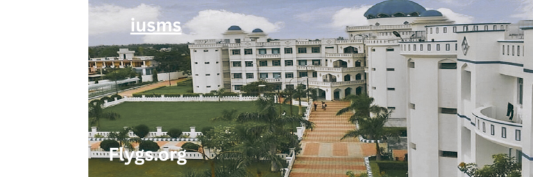 IUSMS Explained: A Beginner’s Journey into Its World