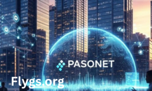 pasonet